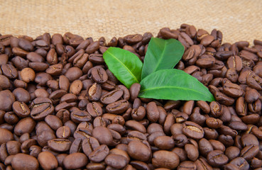 Coffee beans and leaves