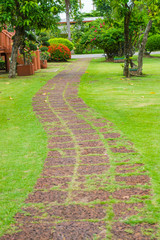 walkway in the garden