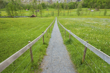 Country road in Swiss