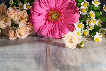 Gerbera Flowers