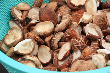 採れたて椎茸をバーベキュー用にカットしたもの