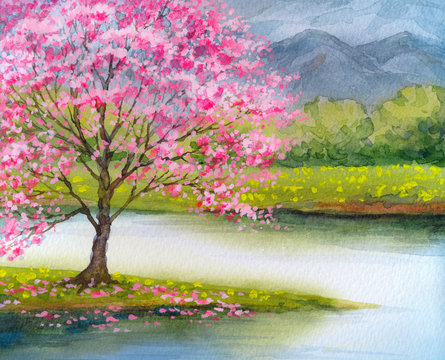 Watercolor landscape. Flowering pink tree by lake