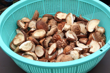採れたて椎茸をバーベキュー用にカットしたもの