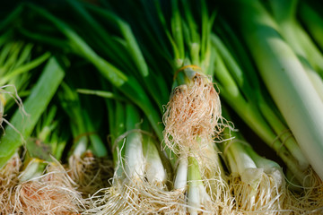 green onion with chives on display