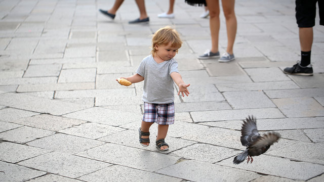 Baby boy feeding pigeon