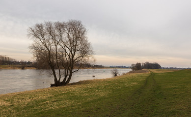 Elbe Dresden