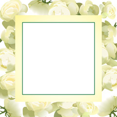 светлая рамка из белых роз