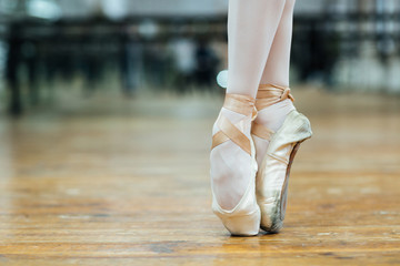 Female ballet dancer standing on toes