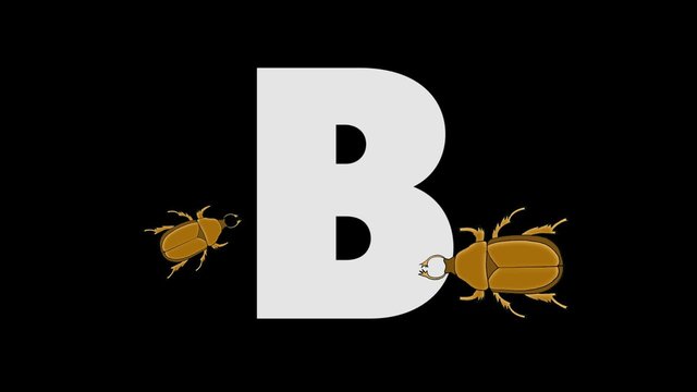 Letter B and Beetle (foreground)
Animated animal alphabet. HD footage with alpha channel. Animal in a foreground of letter.