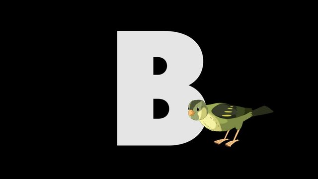 Letter B and Bird (foreground)
Animated animal alphabet. HD footage with alpha channel. Animal in a foreground of letter.