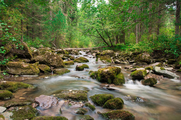 Obraz premium Горный ручей в лесу