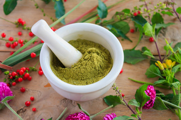 Fresh herbs powder in the mortar, alternative medicine