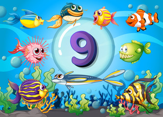 Naklejka na ściany i meble Flashcard number nine with nine fish underwater