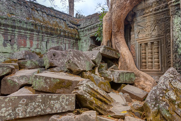Naklejka premium Angkor Wat Cambodia. Ta Prohm Khmer ancient Buddhist temple.