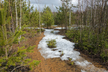 Fototapeta premium Beautiful spring landscape.