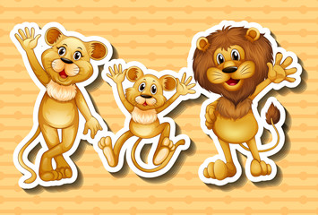 Fototapeta premium Lion family on orange background