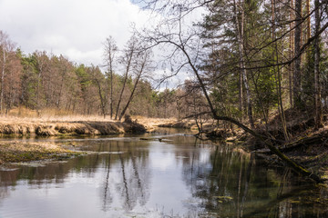 Fototapeta na wymiar River is a beautiful spring landscape.