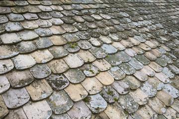 Fototapeta premium Roofing in moss