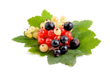 Johannisbeeren
