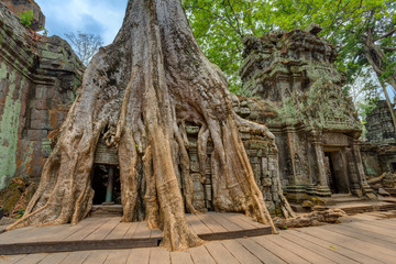 Naklejka premium Angkor Wat Cambodia. Ta Prohm Khmer ancient Buddhist temple.