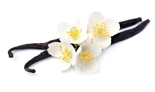 Vanilla sticks with white flowers