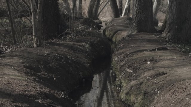 Acequia de regad&iacute;o pasando entre los arboles
