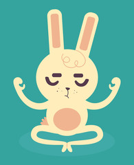 Serene Bunny Meditating