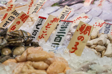 Tsukiji Fish Market, Japan.