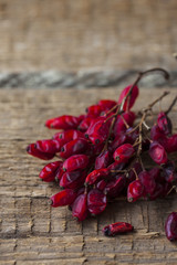 branches of the red barberry on old wooden background