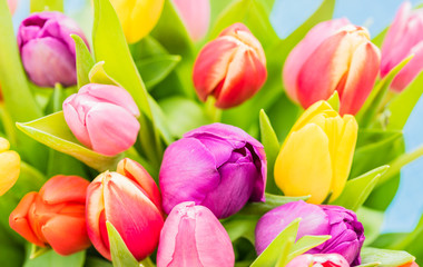 Strauß Tulpen