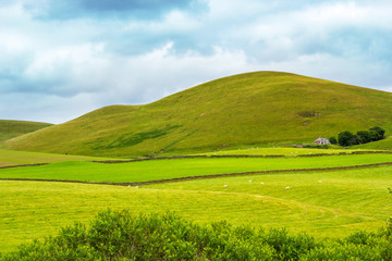 Fototapeta premium Yorkshire Dales, landscape in Summer, England, United Kingdom