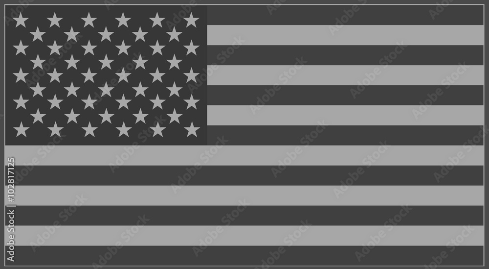 Wall mural us flag