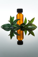Essential oil with myrtle leaves, in amber glass bottle, vertical composition with reflection - 102817711
