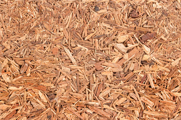 background from pressed wood chips