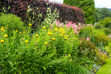 Beautiful walled garden, UK