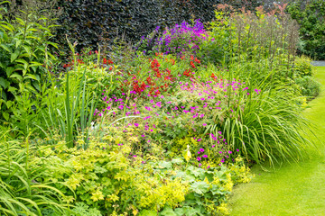Beautiful walled garden, UK