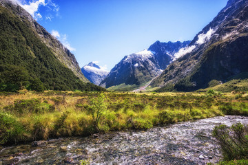 Obraz premium hollyford valley creek