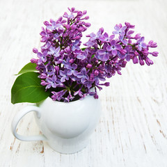 Lilac flowers