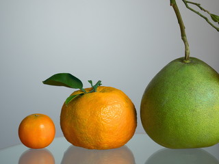 Orange jumbo orange and pomelo