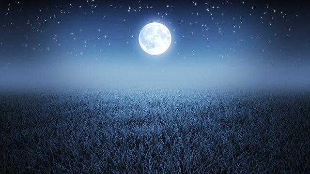 Mystic night flight over grass under starry sky and Moon
