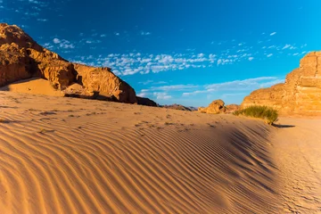 Zelfklevend Fotobehang Sinai desert landscape © Kotangens