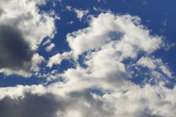 Fototapeta premium blue sky with cloud closeup