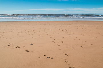 Sandy beach, coast of Atlantic Ocean, Morocco