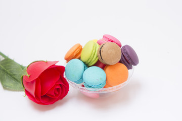 Buttercream Macaron