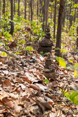 pile of stone in forest