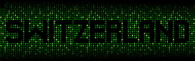 Fototapeta premium Switzerland text on hex code illustration