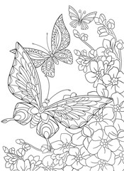 Fototapeta premium Zentangle stylizowane kreskówka motyl i sakura kwiat na białym tle. Szkic dla dorosłych kolorowanki antystresowy. Ręcznie rysowane elementy projektu kwiatowy, doodle, zentangle dla kolorowanka.