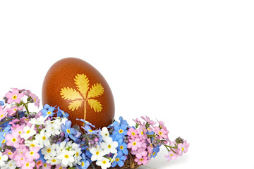 Easter egg and colorful spring flowers, isolated on white background