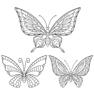 Zentangle stylized cartoon collection of butterflies isolated on white background. Sketch for adult antistress coloring page. Hand drawn doodle, zentangle, floral design elements for coloring book.