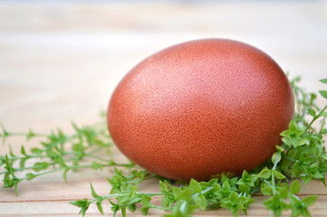 Easter egg and grass